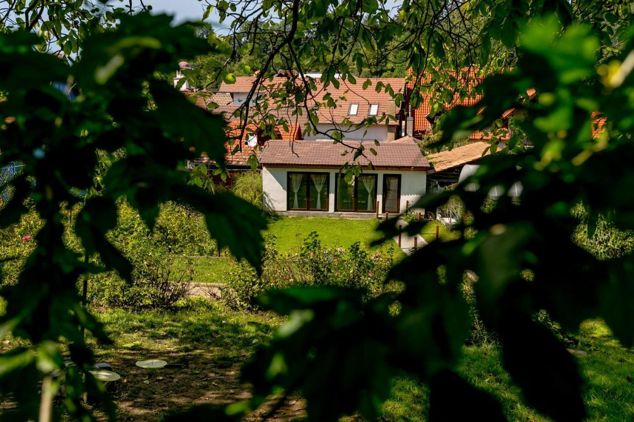 Casa Adalmo Hotell Sighişoara Eksteriør bilde